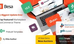 Share Theme Besa WooCommerce làm website bán hàng