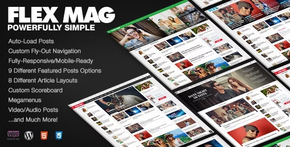 Chia sẻ theme Flex Mag News Theme làm website tin tức file gốc