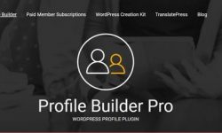 Share Profile Builder Pro plugin tạo hồ sơ chuyên nghiệp