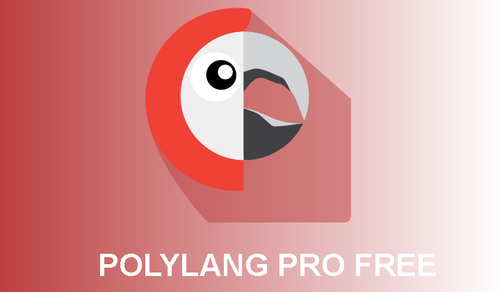 Share plugin Polylang Pro tạo website đa ngôn ngữ