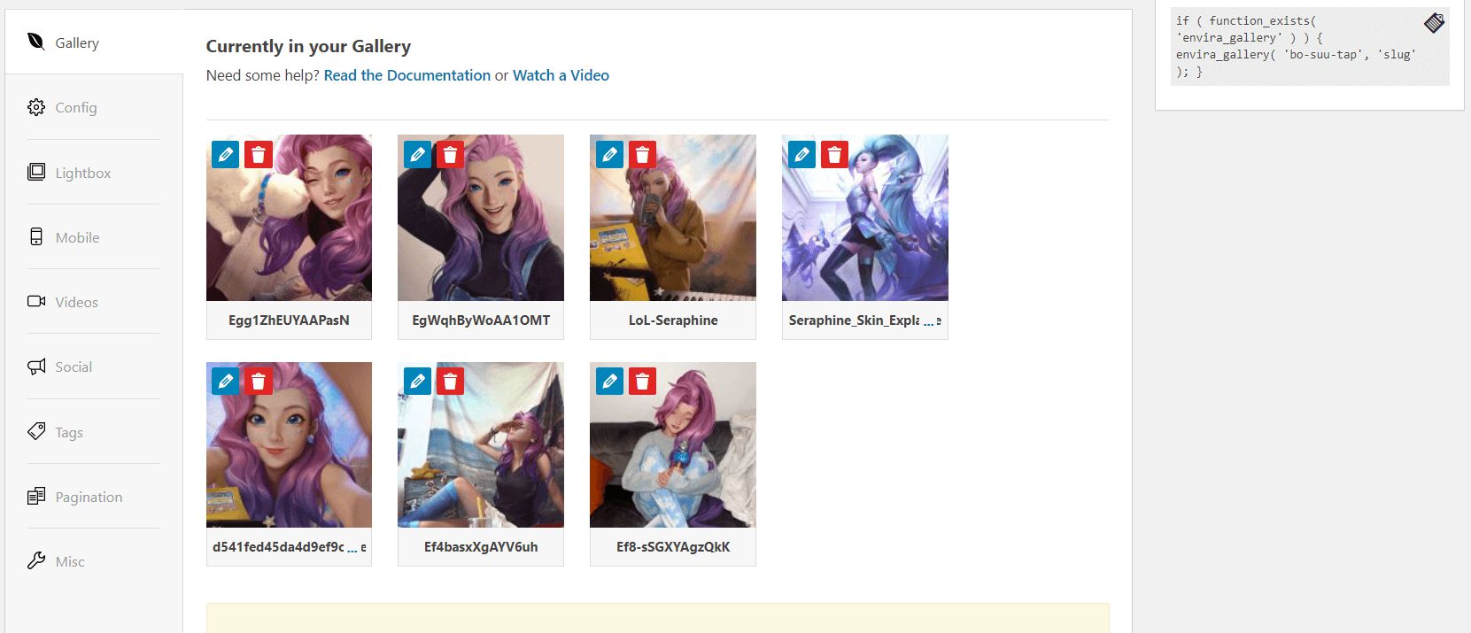 Chèn Gallery ảnh với Gallery Envira WordPress