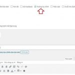 Thêm trường tuỳ chỉnh và hiển thị trong bài viết