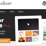 Top Youtube Video Gallery WordPress